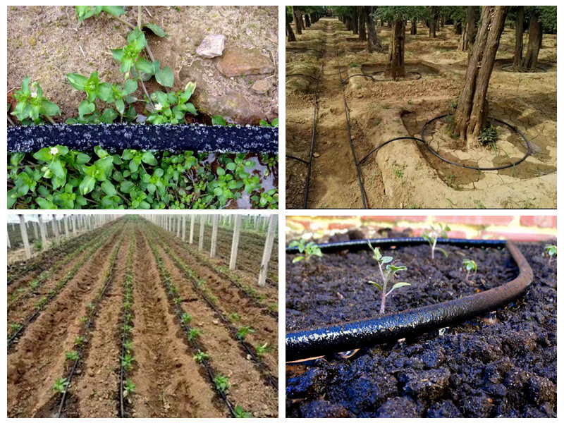 सिंचाई के लिए रबर सोकर नली का उपयोग कैसे किया जाता है?